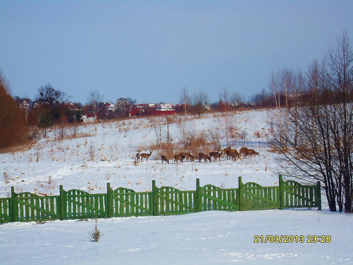 Mazurska Chata Jezioro I Aquapark 6 Min, Centrum I Promenada 12 Min Mikołajki Exteriér fotografie